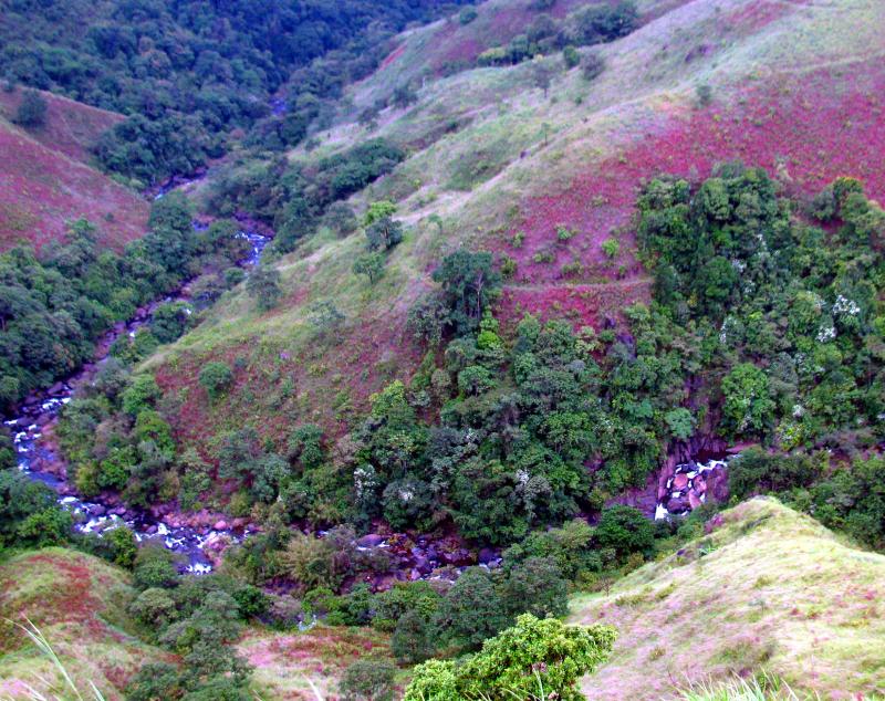 Aerial view of a river upstream of a small hydropower project in the Western Ghats of Karnataka.