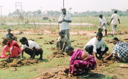 Tree Planting1