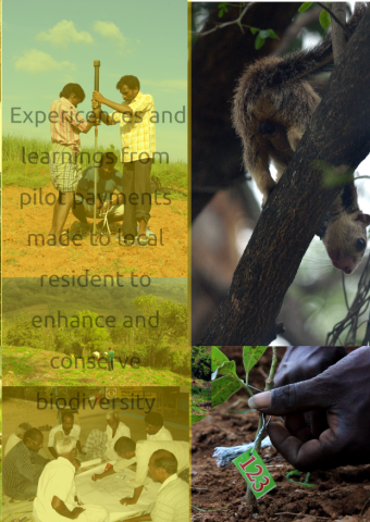 Experiences and learnings from pilot payments made to local residents to enhance and conserve biodiversity