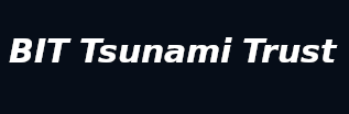 BIT Tsunami Trust, Chennai