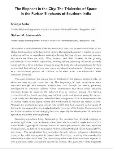 Sinha_Nishant_2021_ElephantInCity