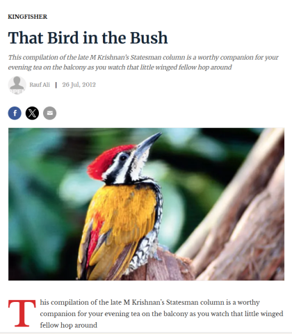 ali_2012_BirdInTheBush