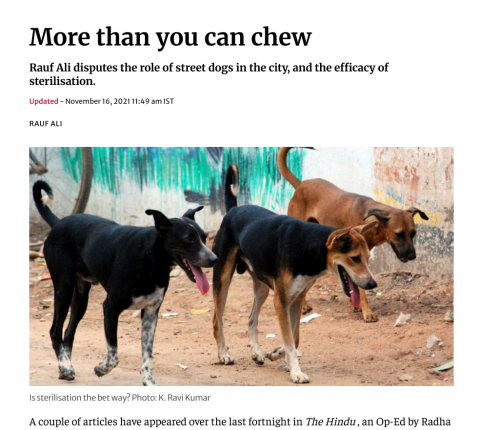 ali_2013_MoreThanYouCanChew