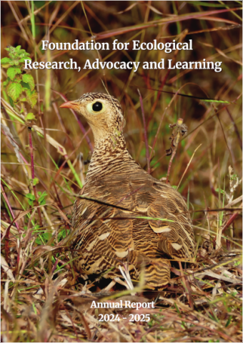 Annual Report 2024 - 2025