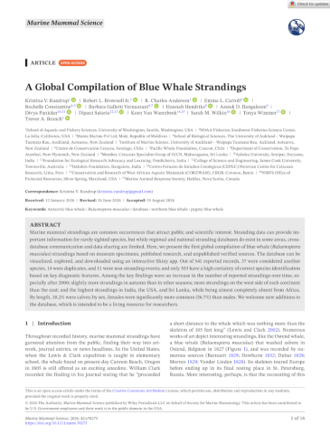 A Global Compilation of Blue Whale Strandings