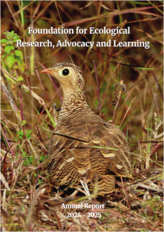 Annual Report 2024 - 2025