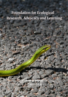 Annual Report 2025-26