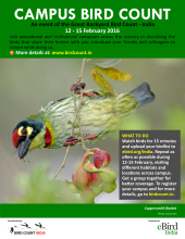 The Campus Birdcount poster  - download the zip file from the documents section.