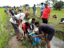 Setting up a flume in an irrigation canal.