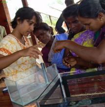 Learning how to build an aquarium.