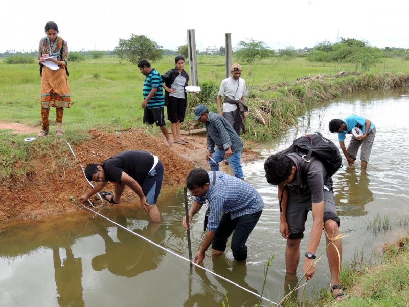 Surveying a stream profile.