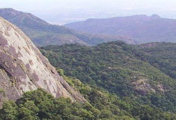 Murangamottai in Kalakad Range