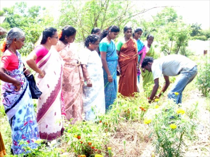 A trip to a model kitchen garden.