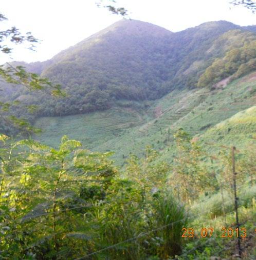 A mosaic of landcover types in the Shenkottah gap