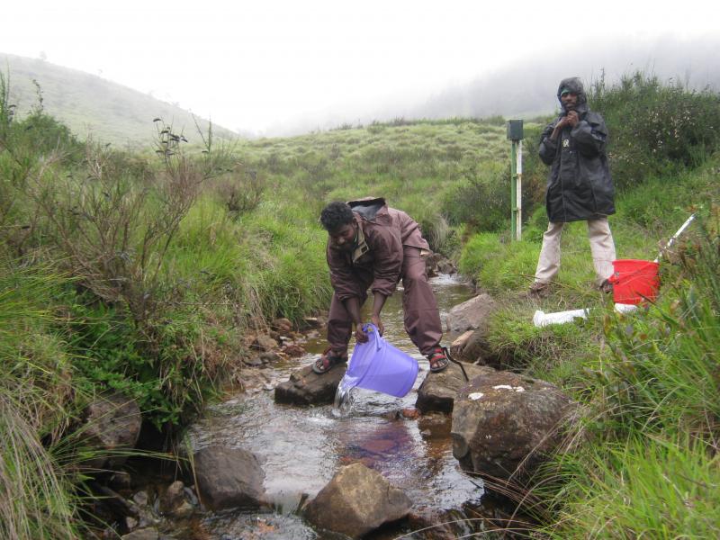 Field teams measuring stream velocity using salt dilution method